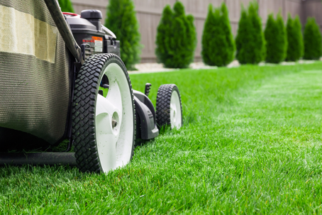 lawn mower mowing