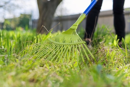 person raking the grass