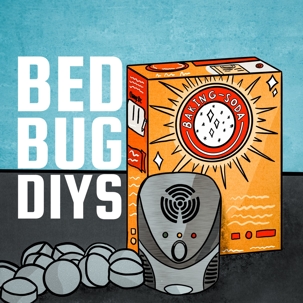 cartoon of baking soda that says bed bug DIYs