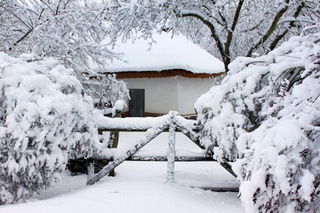 a snowy view of a fence and trees